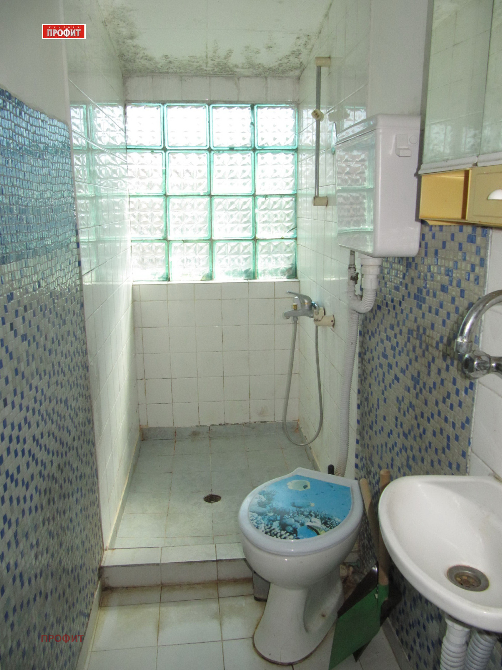 Продава АТЕЛИЕ, ТАВАН, гр. Пловдив, Център, снимка 6 - Апартаменти - 54339559