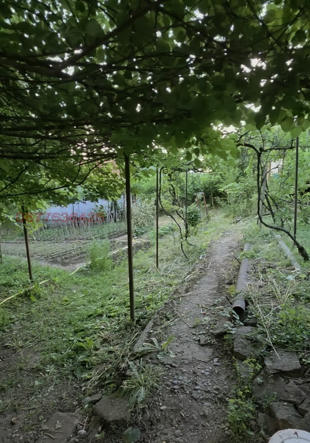 Продава КЪЩА, с. Лютиброд, област Враца, снимка 7 - Къщи - 56135260