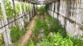 Продава ПРОМ. ПОМЕЩЕНИЕ, област Разград, с. Юпер • 1030000 € / 2014504.90 лв. • 93196892 9