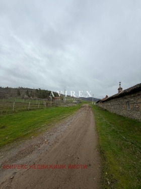 ����� ������� ������,�. �����, ������ �������