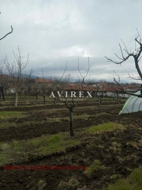 ������� ������ | Imot.bg � ����� ������ 5