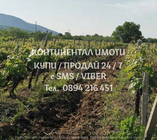 ������� ���������� ���� | Imot.bg � ����������� 1