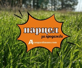 ����� ������� ������,�. ��������, ������ �����