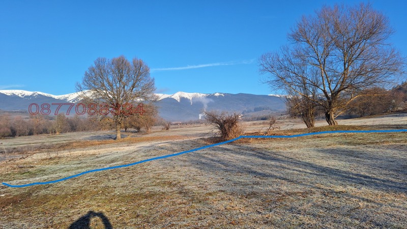 Продава ПАРЦЕЛ, с. Долно Драглище, област Благоевград, снимка 5 - Парцели - 52786447