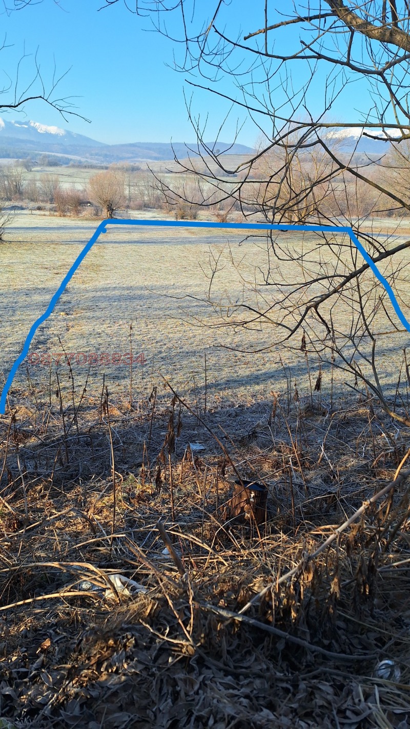 Продава ПАРЦЕЛ, с. Долно Драглище, област Благоевград, снимка 2 - Парцели - 52786447