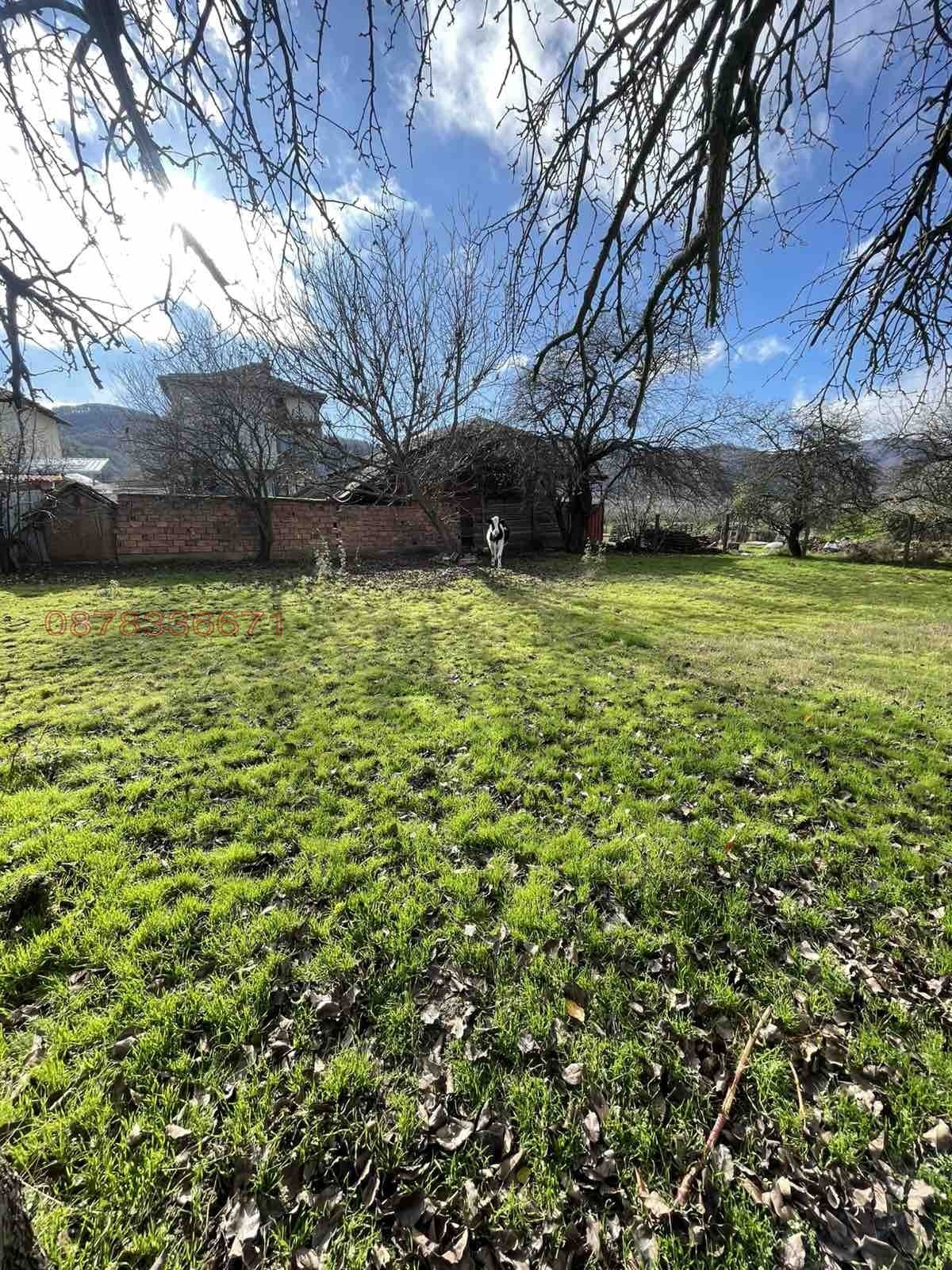 Продава КЪЩА, с. Стамболово, област София област, снимка 3 - Къщи - 54345909