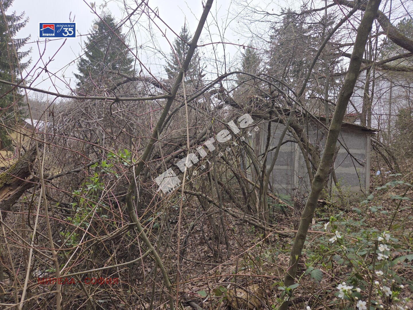 ������� ������ | Imot.bg � ����������� 5