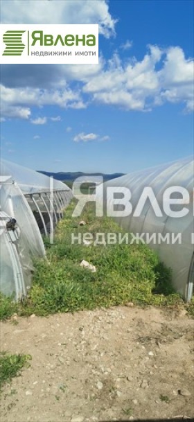 In vendita  Edificio industriale regione Sofia , Dolna bania , 52800 mq | 92281387 - Immagine [4]