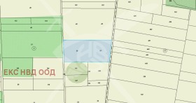 ����� ������� ���������� ����,�. ��������, ������ �������