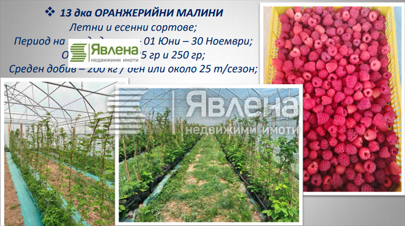 In vendita  Edificio industriale regione Sofia , Dolna bania , 52800 mq | 92281387 - Immagine [2]