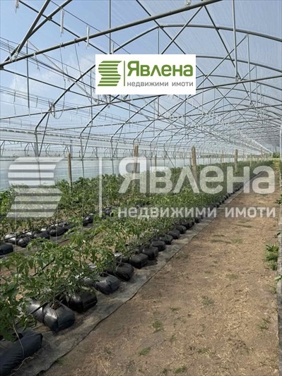 Продаја  Индустријска зграда регион Софиа , Долна банја , 52800 м2 | 92281387 - слика [17]
