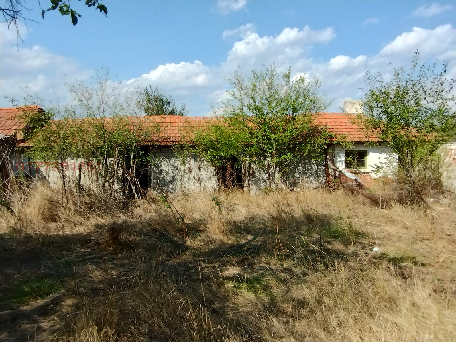 Продава КЪЩА, с. Войника, област Ямбол, снимка 3 - Къщи - 55099212