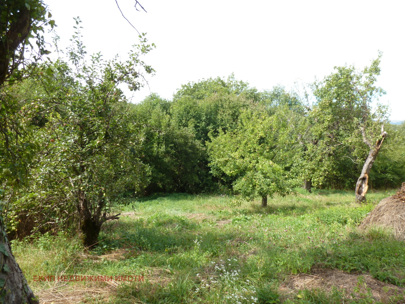 Продава КЪЩА, с. Бохова, област Перник, снимка 6 - Къщи - 55131854
