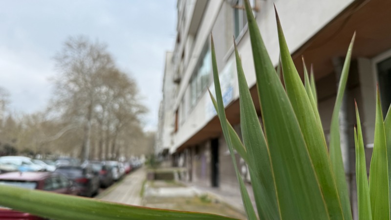 Til salgs  Studio Varna , Sjajka , 20 kvm | 84784626