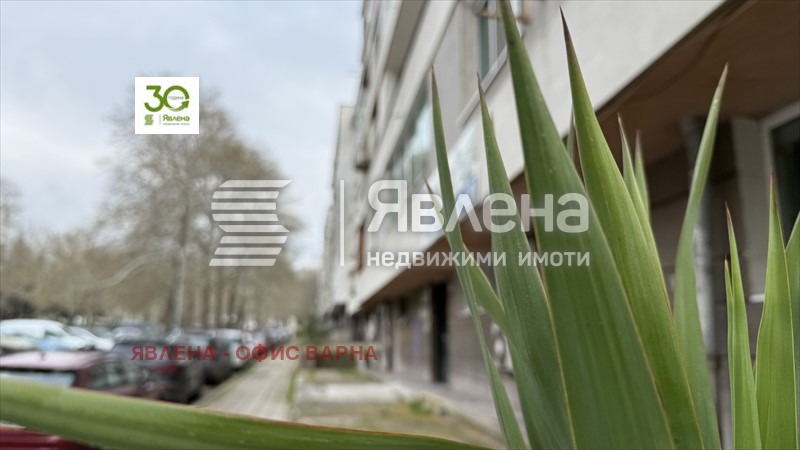 Til salgs  Studio Varna , Sjajka , 20 kvm | 84784626 - bilde [17]