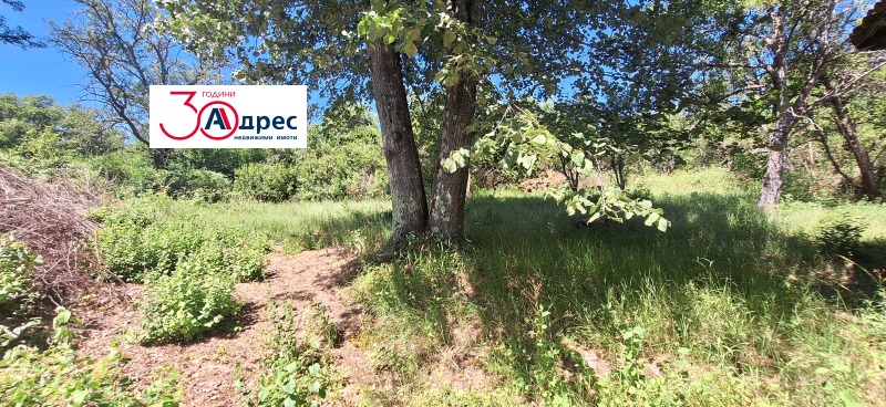 Na prodej  Dům oblast Veliko Tarnovo , Elena , 96 m2 | 12100781 - obraz [10]