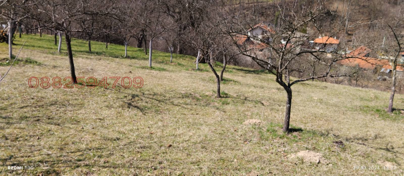 Продава ЗЕМЕДЕЛСКА ЗЕМЯ, с. Чифлик, област Ловеч, снимка 5 - Земеделска земя - 52786528