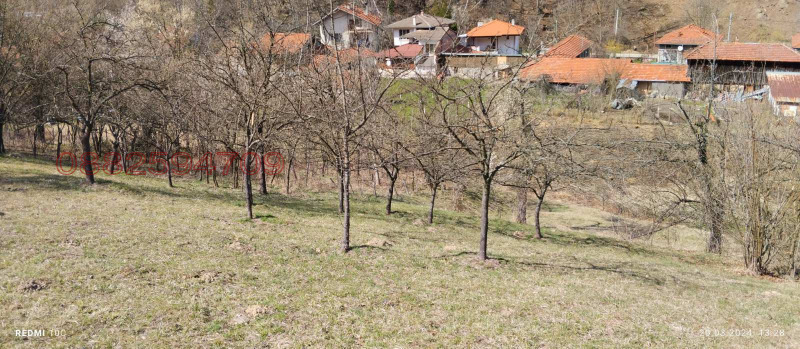 Продава ЗЕМЕДЕЛСКА ЗЕМЯ, с. Чифлик, област Ловеч, снимка 3 - Земеделска земя - 52786528