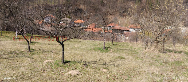 Продава ЗЕМЕДЕЛСКА ЗЕМЯ, с. Чифлик, област Ловеч, снимка 4 - Земеделска земя - 52786528