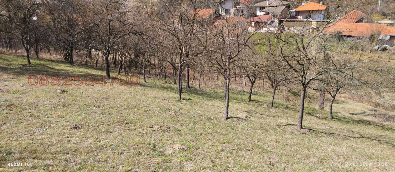 Продава ЗЕМЕДЕЛСКА ЗЕМЯ, с. Чифлик, област Ловеч, снимка 6 - Земеделска земя - 52786528