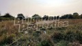 Продава ПАРЦЕЛ, к.к. Слънчев бряг, област Бургас, снимка 6 - Парцели - 42974962
