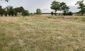 Продава ПАРЦЕЛ, област Добрич, с. Соколово • 24500 € • 27349771 — Holmes.bg