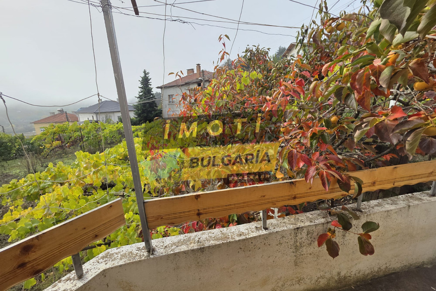 ������� ���� | Imot.bg � ����������� 6