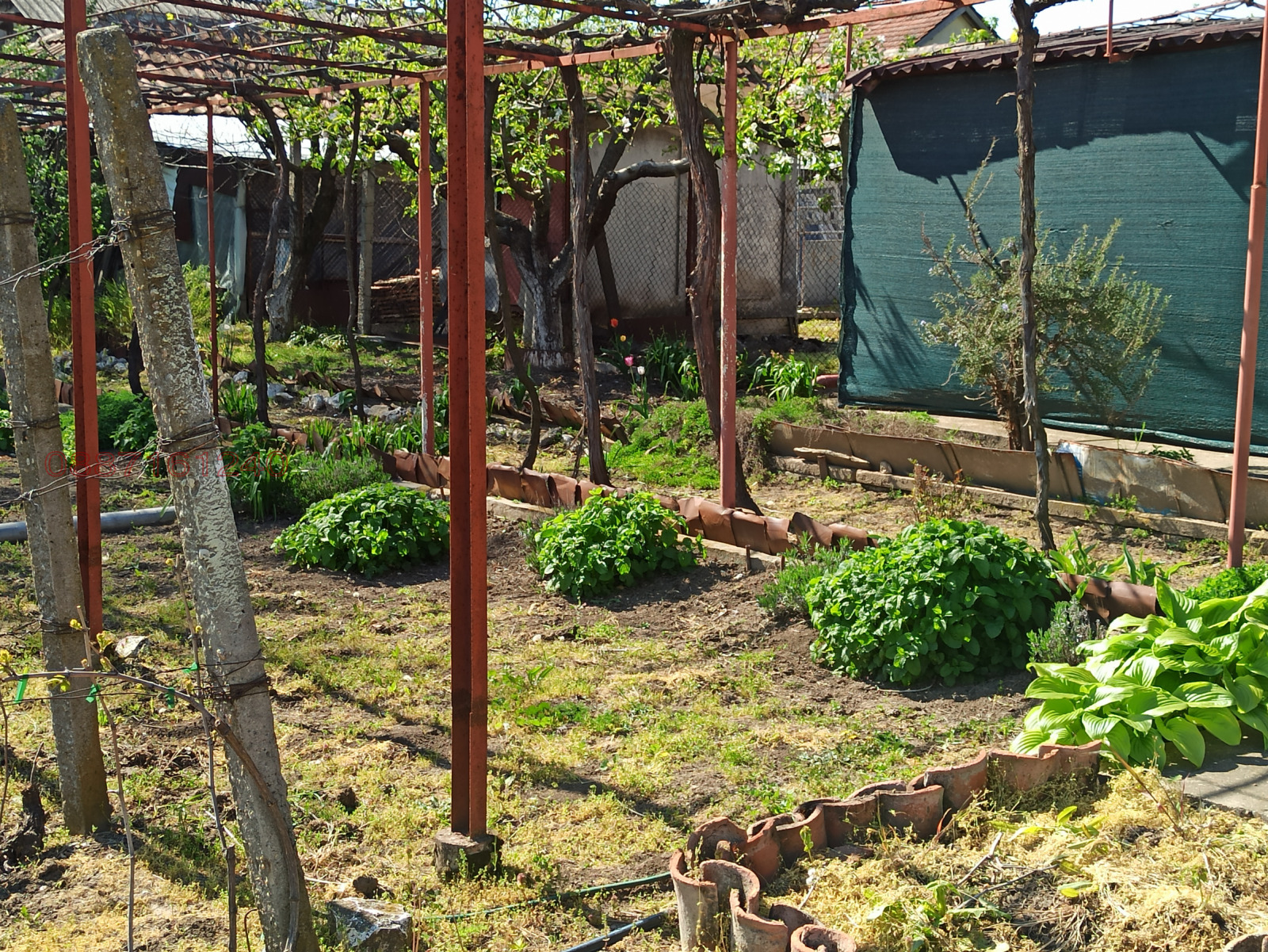 Продава КЪЩА, с. Белица, област Силистра, снимка 2 - Къщи - 54329681