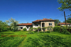 ������ ������� ����