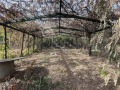 Продава КЪЩА, област Велико Търново, с. Горна Студена • 24500 € • 33455257 2