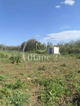 ������� ������ | Imot.bg � ����� ������ 3