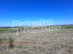 ����� ������� ������,��. ����������, ������ �������