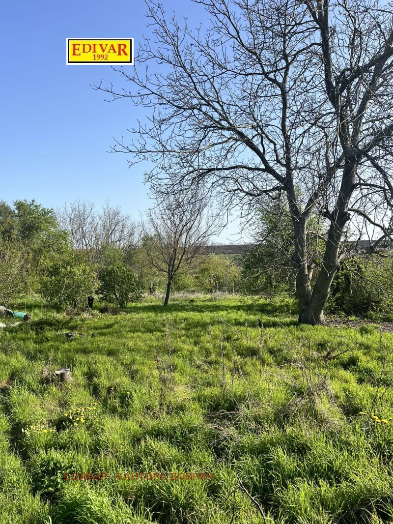 Продава КЪЩА, с. Миладиновци, област Добрич, снимка 9 - Къщи - 53563391