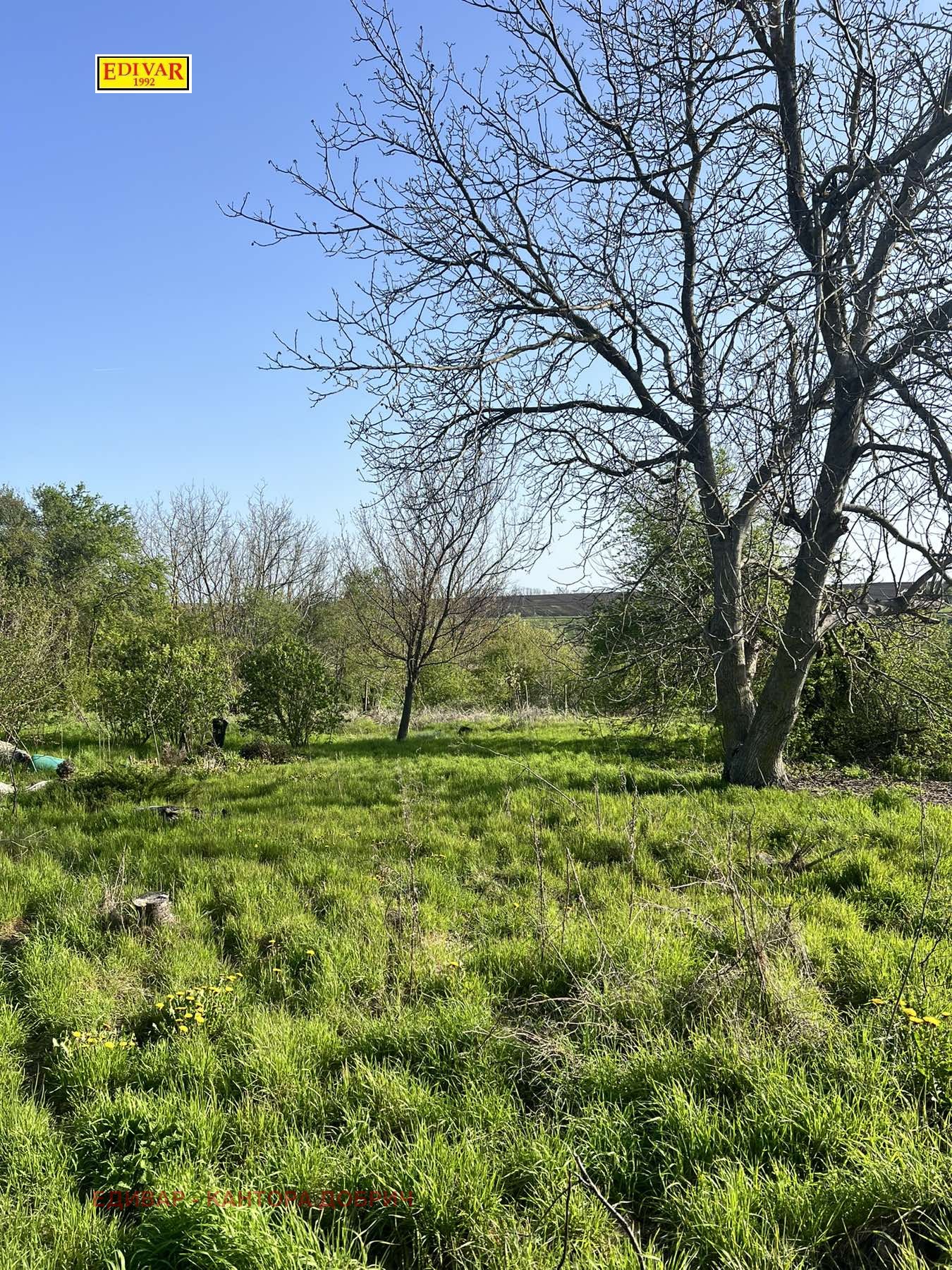 Продава КЪЩА, с. Миладиновци, област Добрич, снимка 9 - Къщи - 53563391