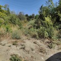 Продава ПАРЦЕЛ, с. Храбрино, област Пловдив, снимка 3