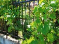 Продава 1-СТАЕН, град София, Овча купел 2 • 109000 € • 37046688 — Holmes.bg