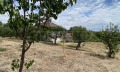 Продава КЪЩА, област Видин, с. Цар Симеоново • 53000 € • 98471477 — Holmes.bg