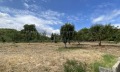 Продава КЪЩА, област Видин, с. Цар Симеоново • 53000 € • 98471477 — Holmes.bg