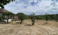 Продава КЪЩА, област Видин, с. Цар Симеоново • 53000 € • 98471477 — Holmes.bg
