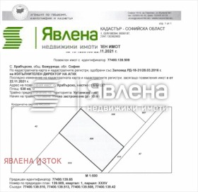 ������ ������� ������