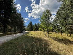 ������� ������ | Imot.bg � ����� ������ 9