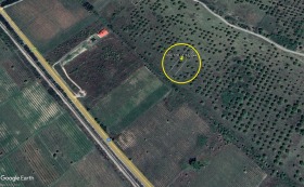 Продажба на земеделски земи в област Пловдив - изображение 5 