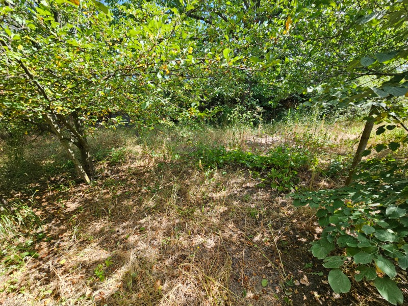 Zu verkaufen  Villa Razgrad , Promischlena zona - Zapad , 46 qm | 65384656 - Bild [2]