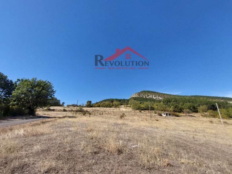 For Sale  Plot region Kardzhali , Blenika , 3000 sq.m | 59787735 - image [2]