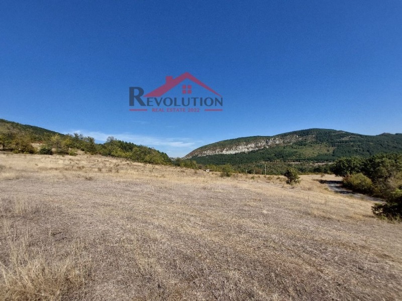 For Sale  Plot region Kardzhali , Blenika , 3000 sq.m | 59787735 - image [4]