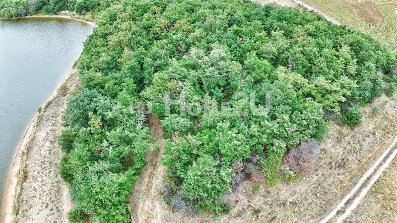 Til salgs  Land region Plovdiv , Borets , 1 dka | 48705824 - bilde [2]