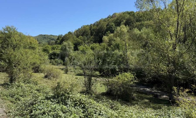 Satılık  Komplo bölge Veliko Tarnovo , Voyneja , 18354 metrekare | 27738701 - görüntü [5]
