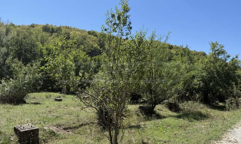 Satılık  Komplo bölge Veliko Tarnovo , Voyneja , 18354 metrekare | 27738701 - görüntü [3]