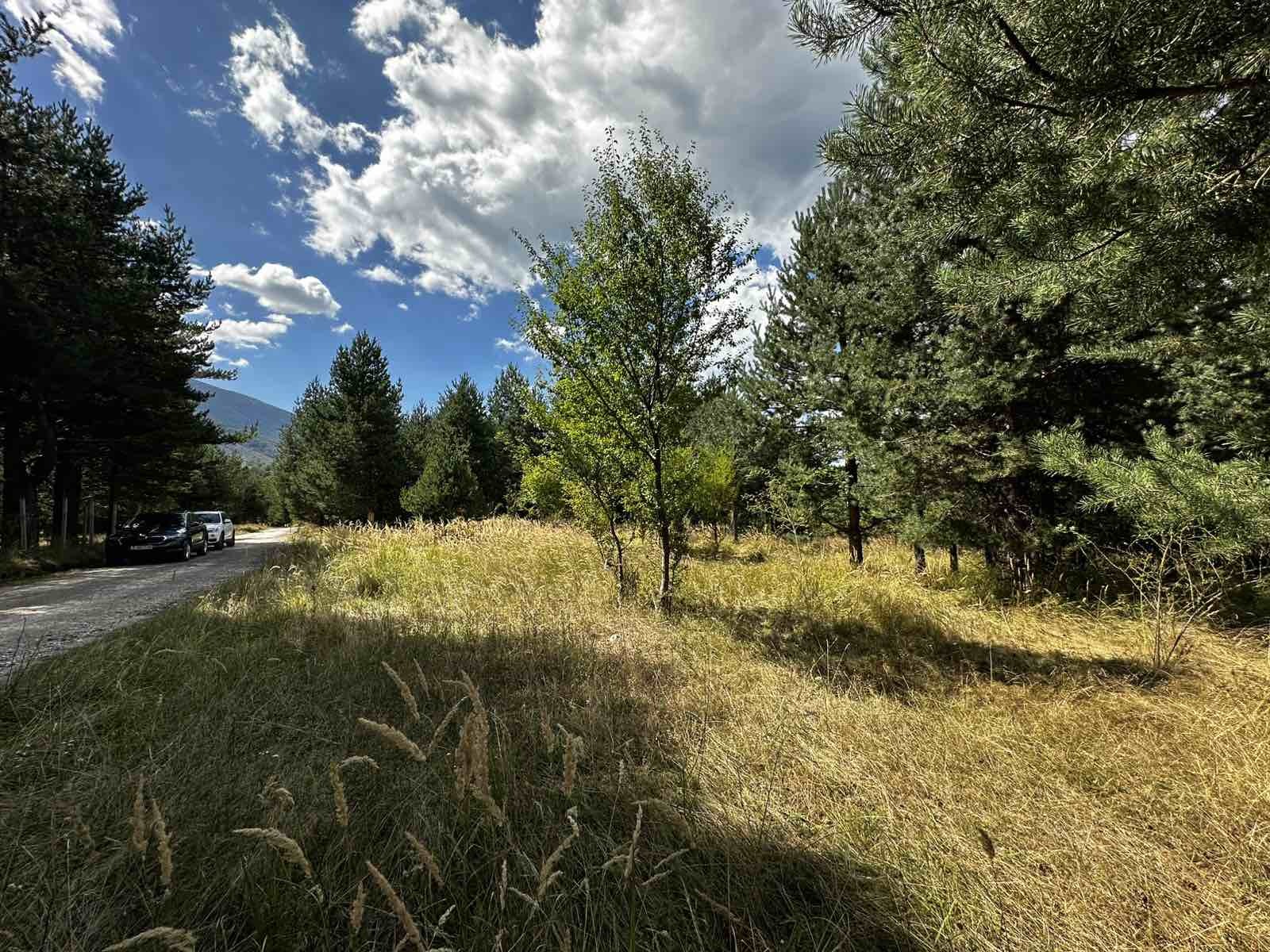 Продава ПАРЦЕЛ, гр. Разлог, област Благоевград, снимка 10 - Парцели - 56071824