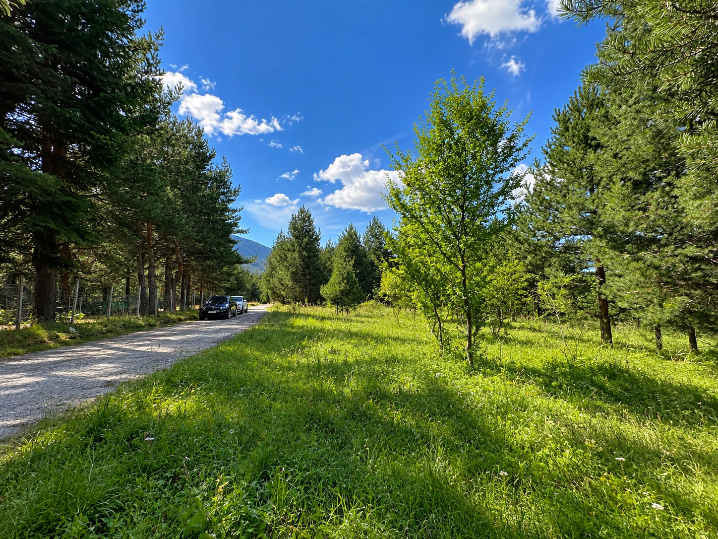 Продава ПАРЦЕЛ, гр. Разлог, област Благоевград